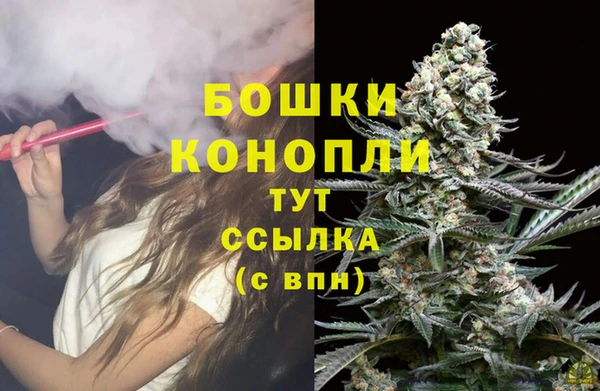 мдпв Володарск