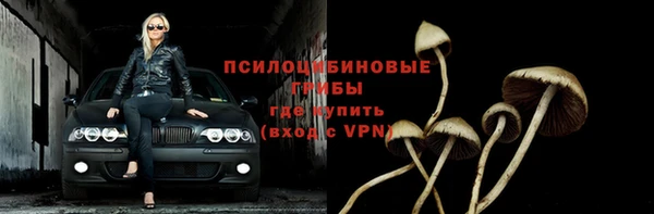 мдпв Волоколамск