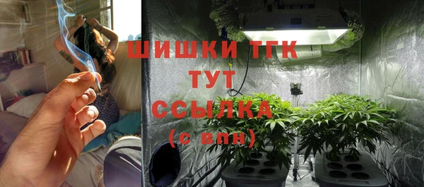 мдпв Володарск