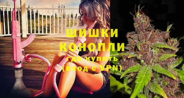 мдпв Волоколамск