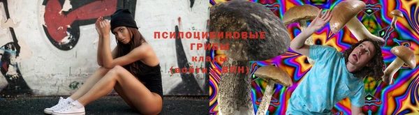 мдпв Володарск
