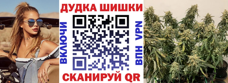 Купить где  Новоузенск  МАРИХУАНА MAZAR 